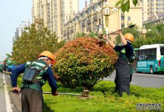 青州市：黨建紅+園林綠+環(huán)衛(wèi)橙，合力打造全域花園城市